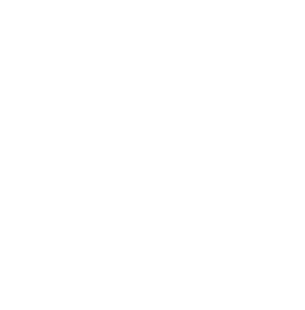 der führenden Unternehmen erhöhen das Tempo ihrer Investitionen in Big Data und KI, um sich in agile und wettbewerbsfähige Unternehmen zu verwandeln.